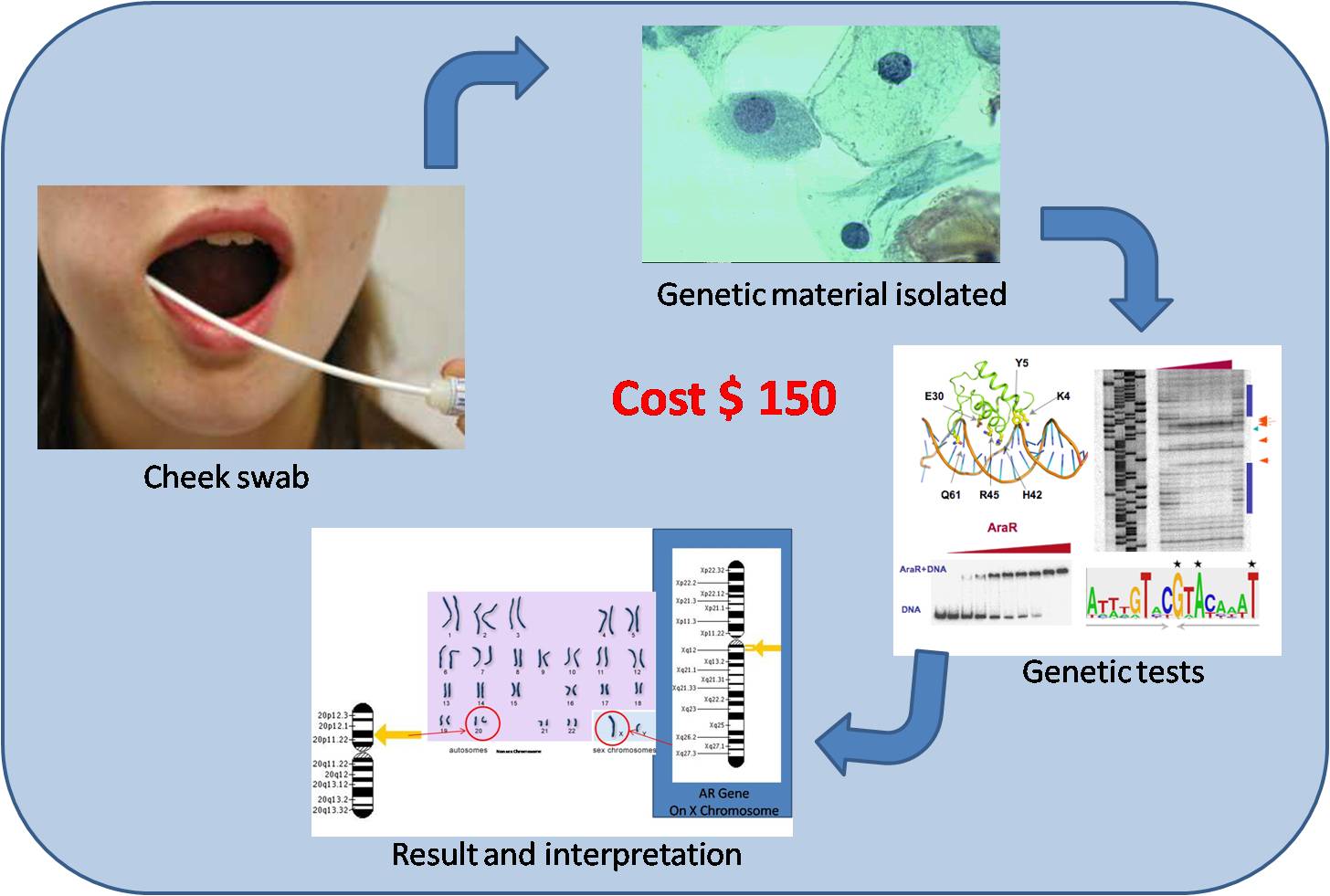 Good Bye Hair Loss Hair Loss Tips & Advice Online Hair and