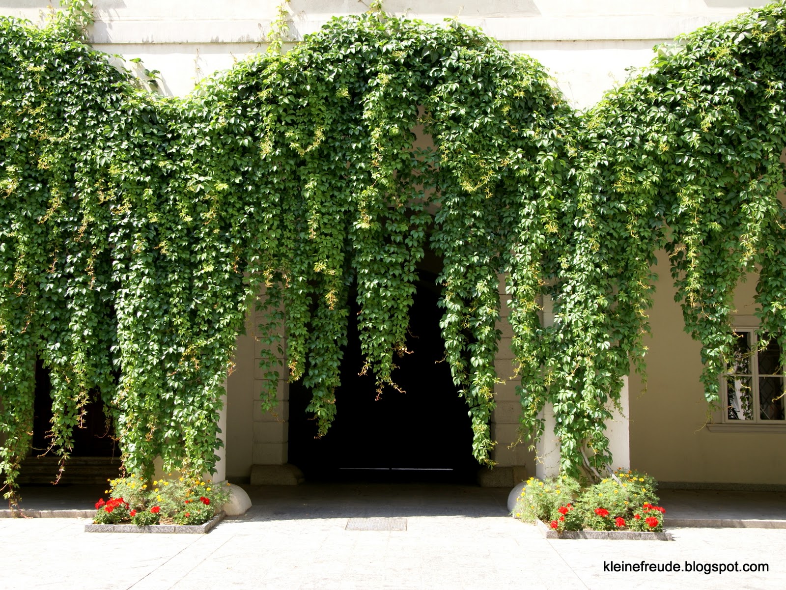 kleine freude: Grün im Bermudadreieck