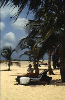 Reinersnordsee