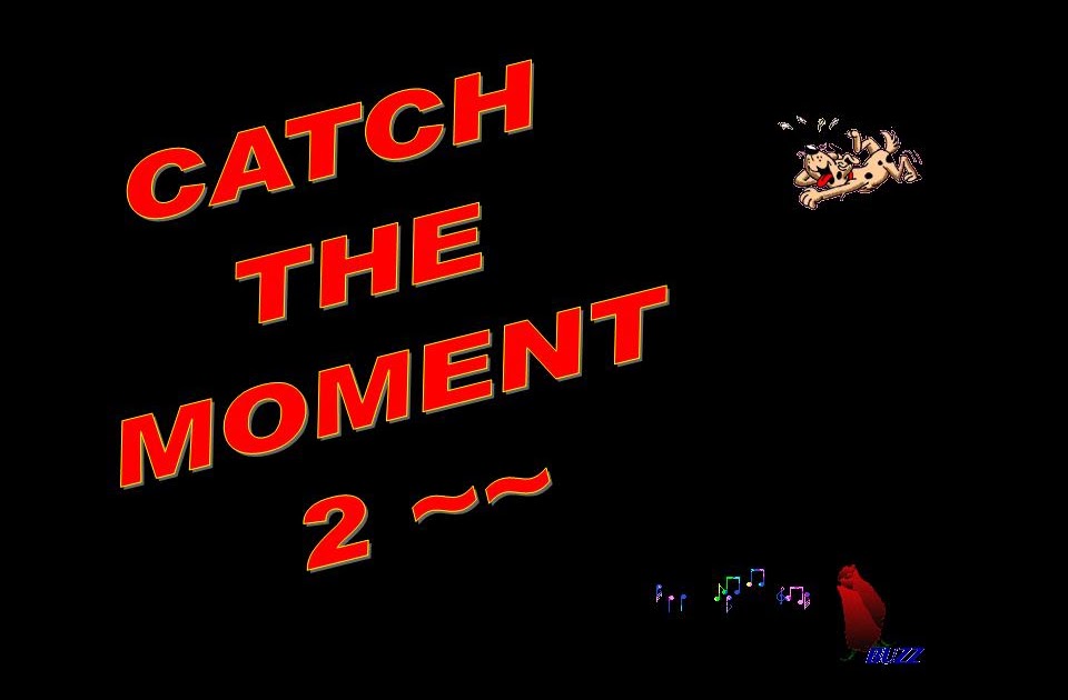 Fun Stuff Catch The Moment