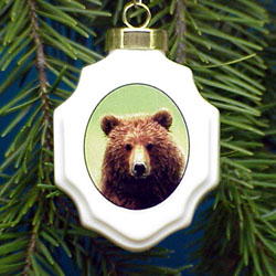 [grizzly_christams+ornament.jpg]