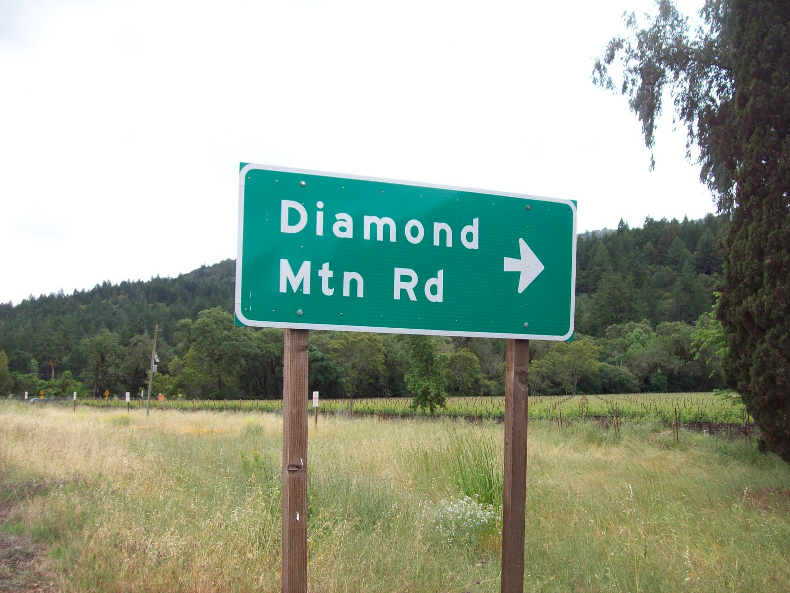 365 Walks! We Start Again Day 138 Diamond Mountain Road...