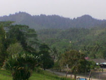 Panorama Hutan di Pahang
