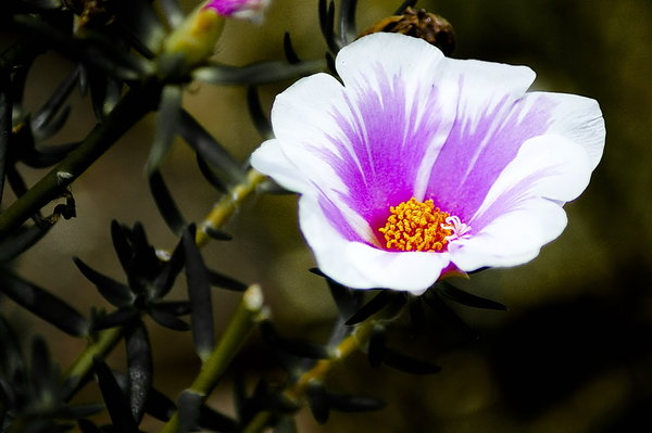 [pukul_delapan_by_ReisLie[2].jpg]