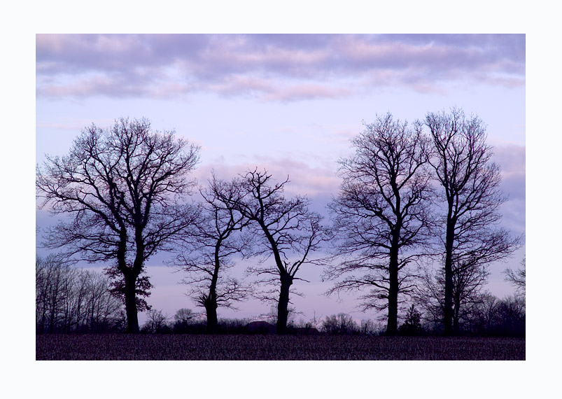 [woooooooooooo_by_MagicWorld[1].jpg]