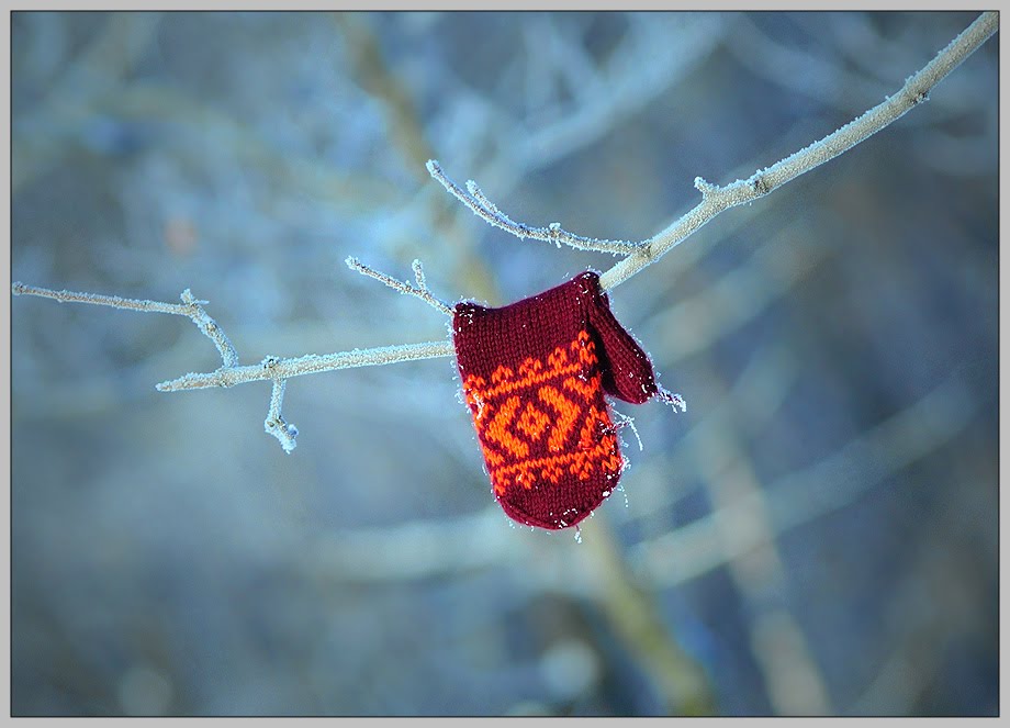 [3575529_large.jpeg]