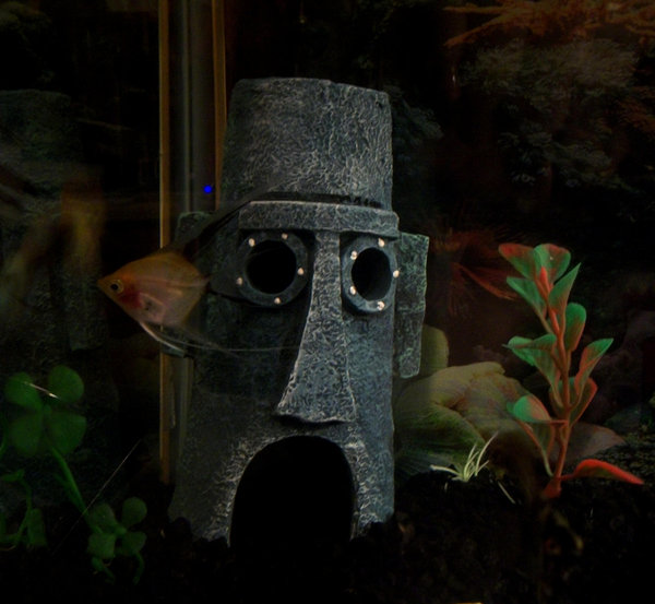 [Angel_by_allmixedupp.jpg]