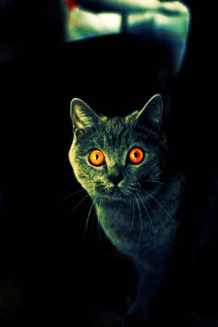 [a4bc13ccbe668eed73f498d315ff17bd[1].jpg]