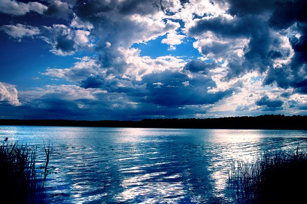 [The_Blue_by_Hiilda.jpg]