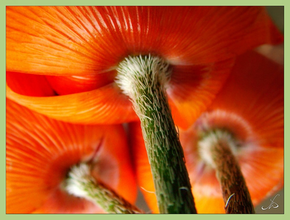 [3114963_large.jpeg]