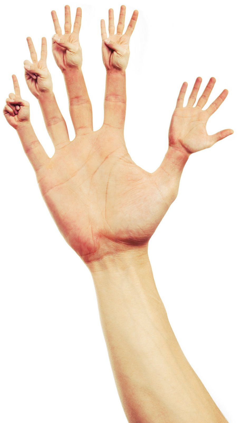 [one_two_three_four_by_tekhiun.jpg]