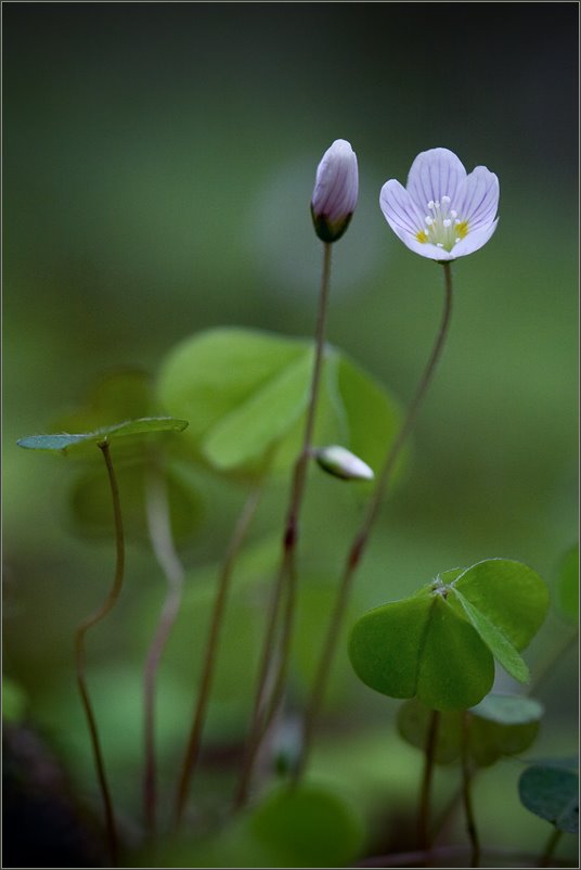 [3223147_large.jpeg]