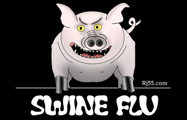 [swine-flu-image-1.jpg]