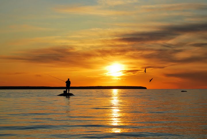 [3332402_large.jpeg]