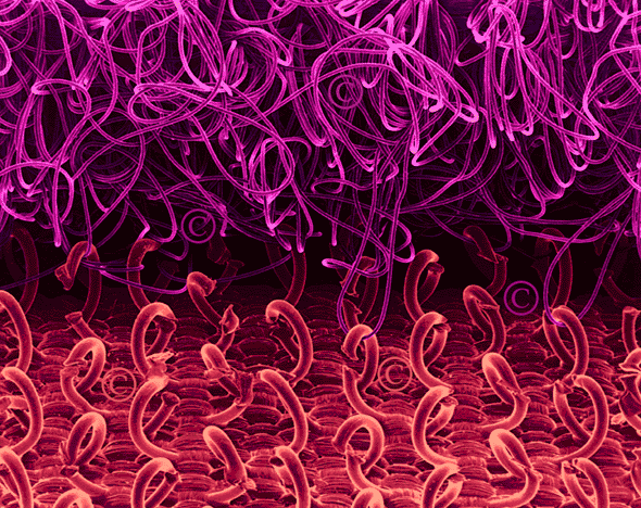 comment nettoyer scratch