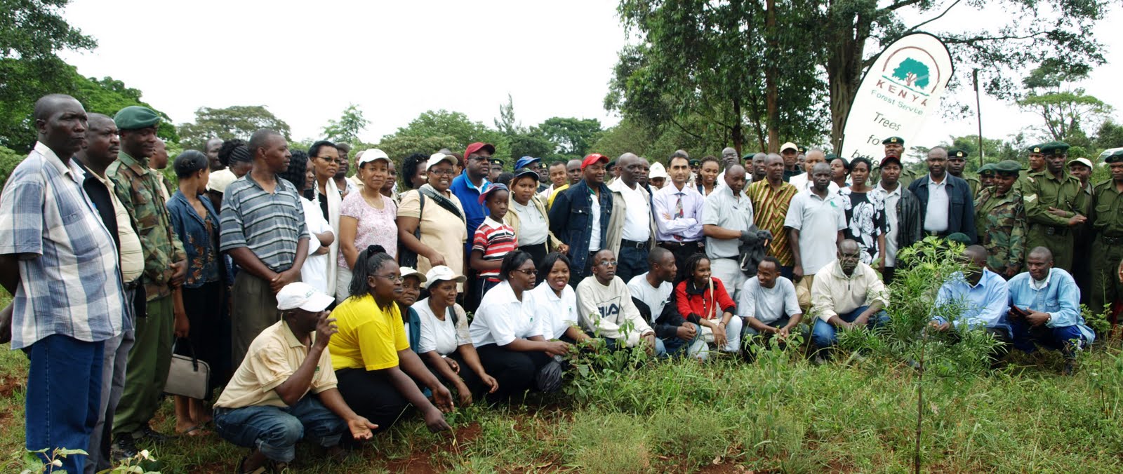 Kenya Forests Inaugural World Forestry Day Celebrated in Kenya with