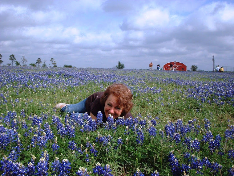 Jewelbeams in Bluebonnets