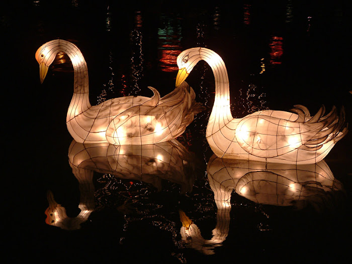 Fancy Lanterns