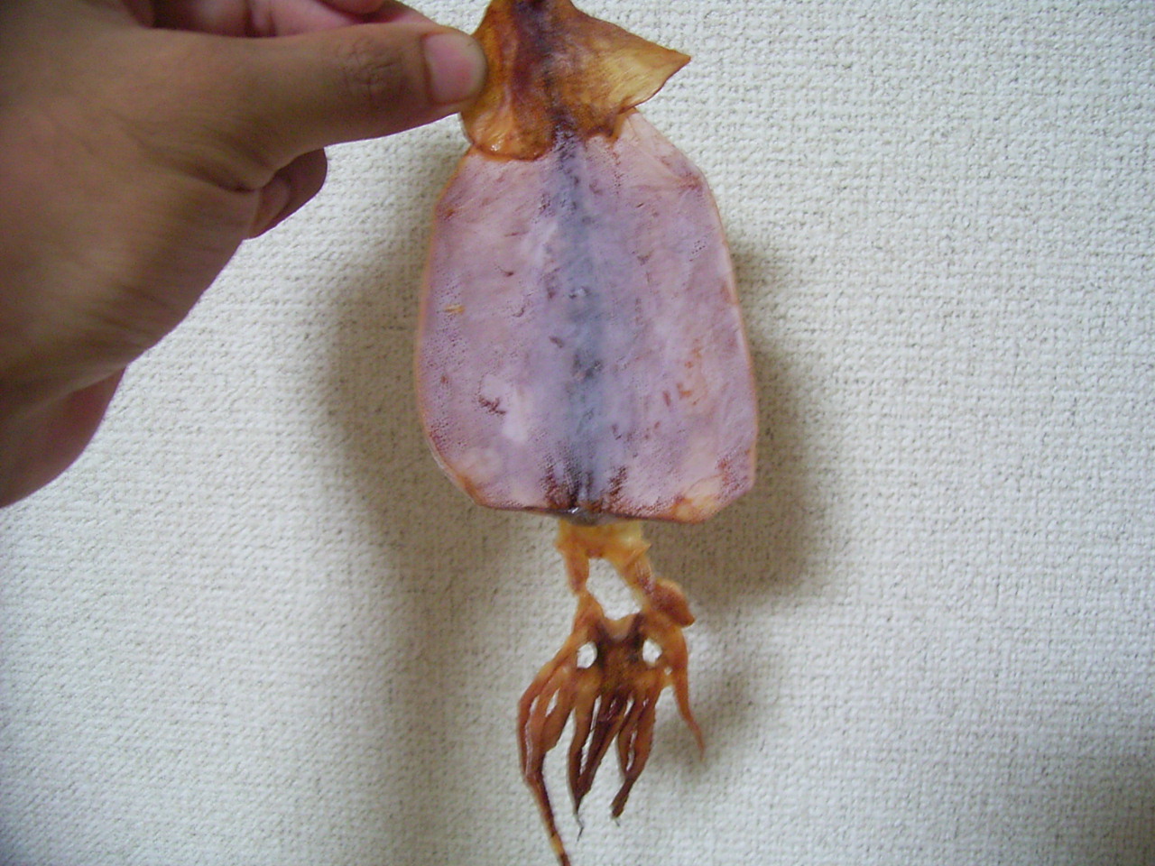 English & Japanese Blog ブログ Dried cuttlefish snack するめ