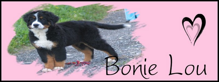 (s)motkica Bonie