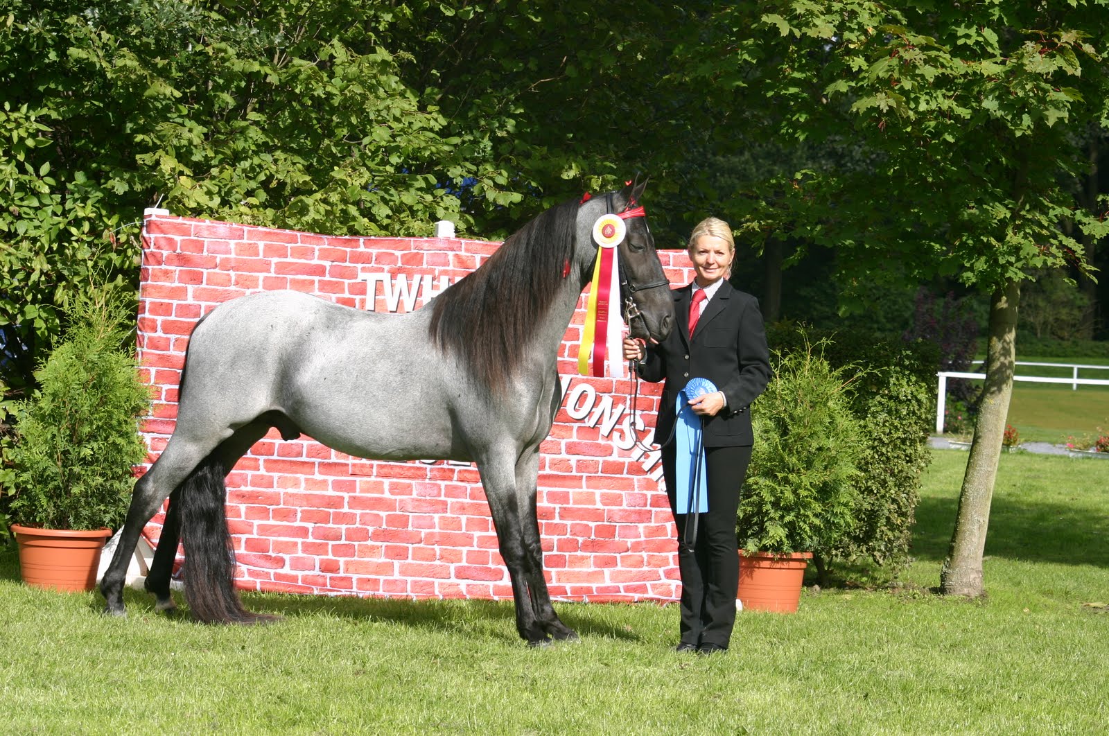 Tennessee Walking Horse DKFFarm European Championship 2010