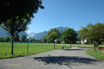 Large green field on way to Interlaken Ost Train Stattion