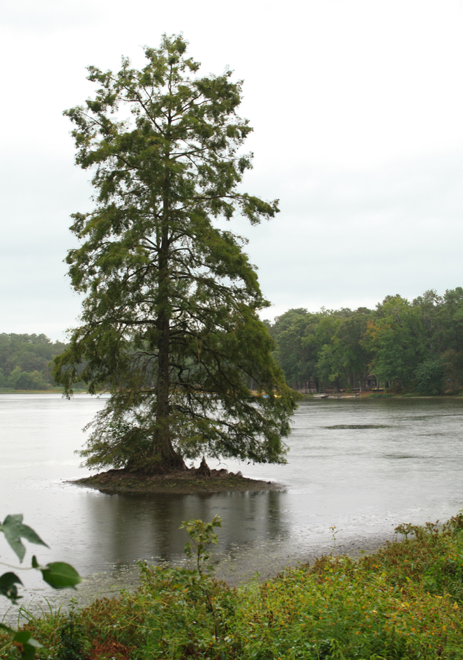 threads and snippets camping at trap pond
