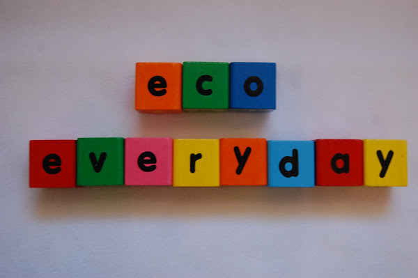 Eco Everyday