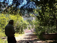 The Old Alexandra Bridge at Yale