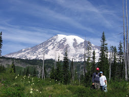 Mt. Rainier