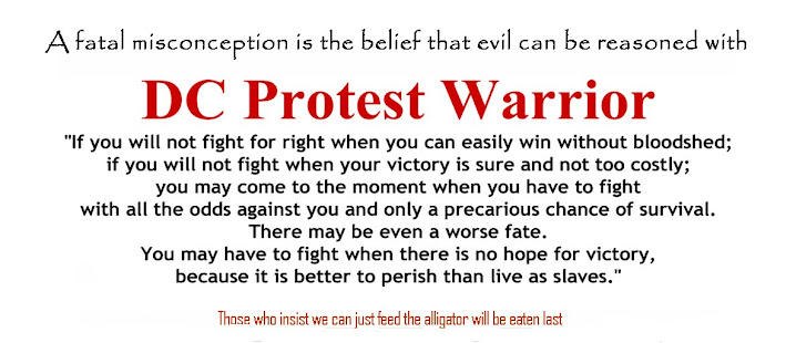 DC Protest Warrior