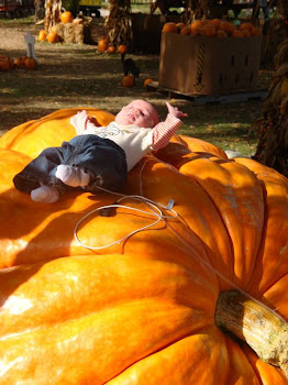 BIG pumpkin Little Girl