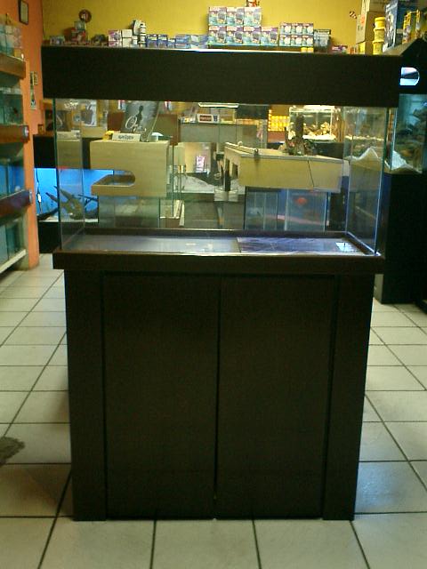 Aquario 100x40x50 R$ 550,00