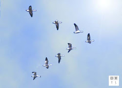 geese formation teamwork fables leadership quotes bird lessons management uplift tales wings flight fairy each during