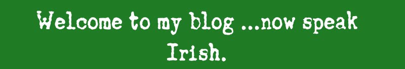 Now Speak Irish