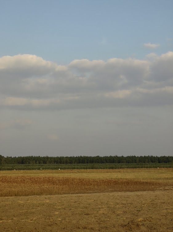 [tn__7259157_01.JPG]