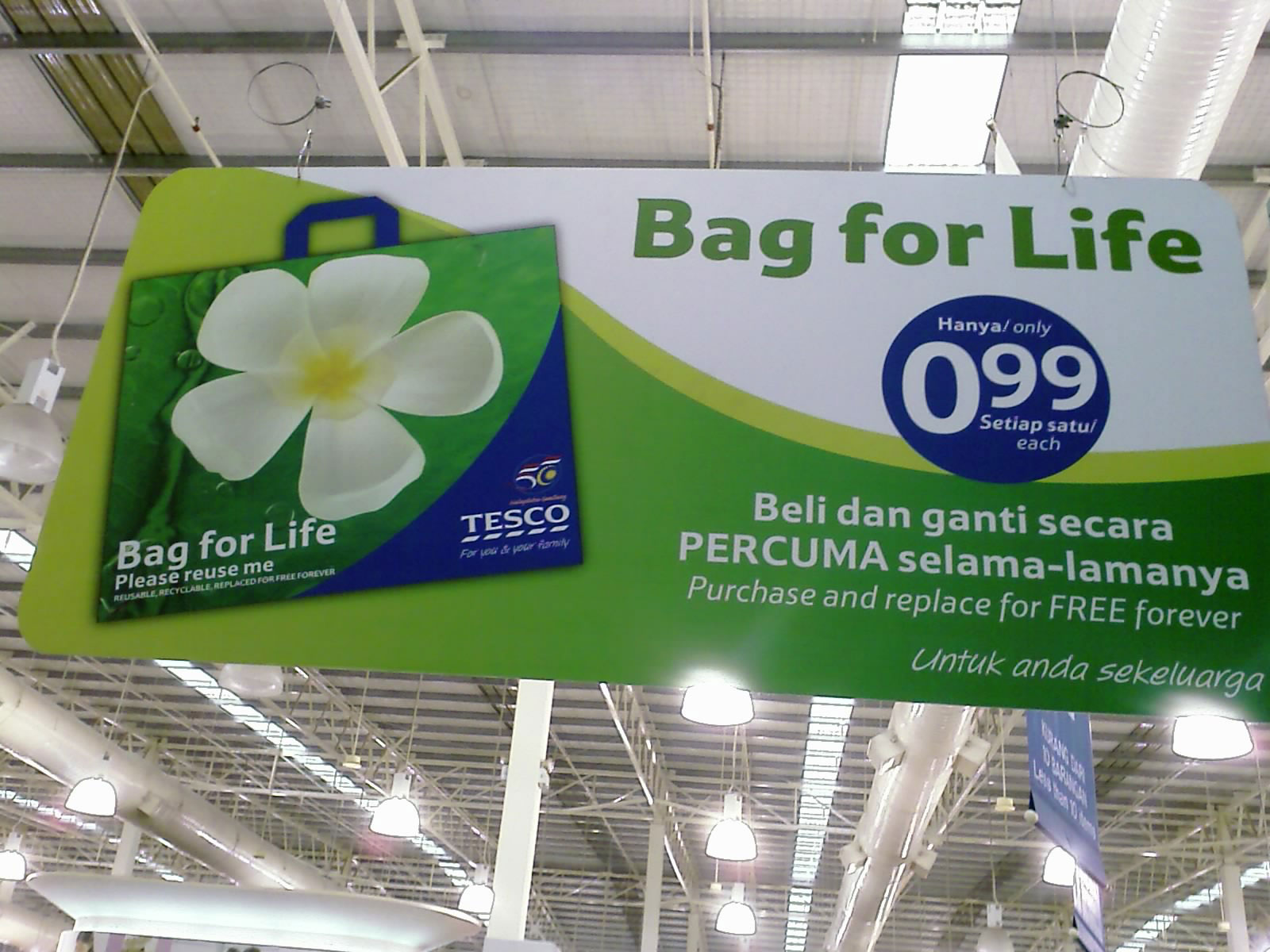 A Place In The Sun Reusable Shopping Bags