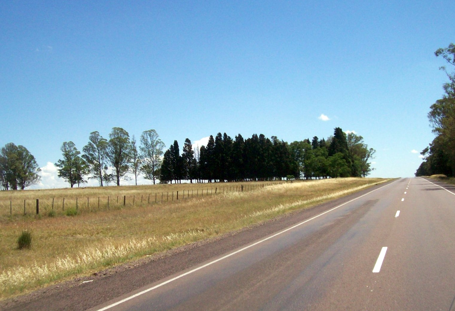 PINTANDO EL URUGUAY Visitando Tacuarembó
