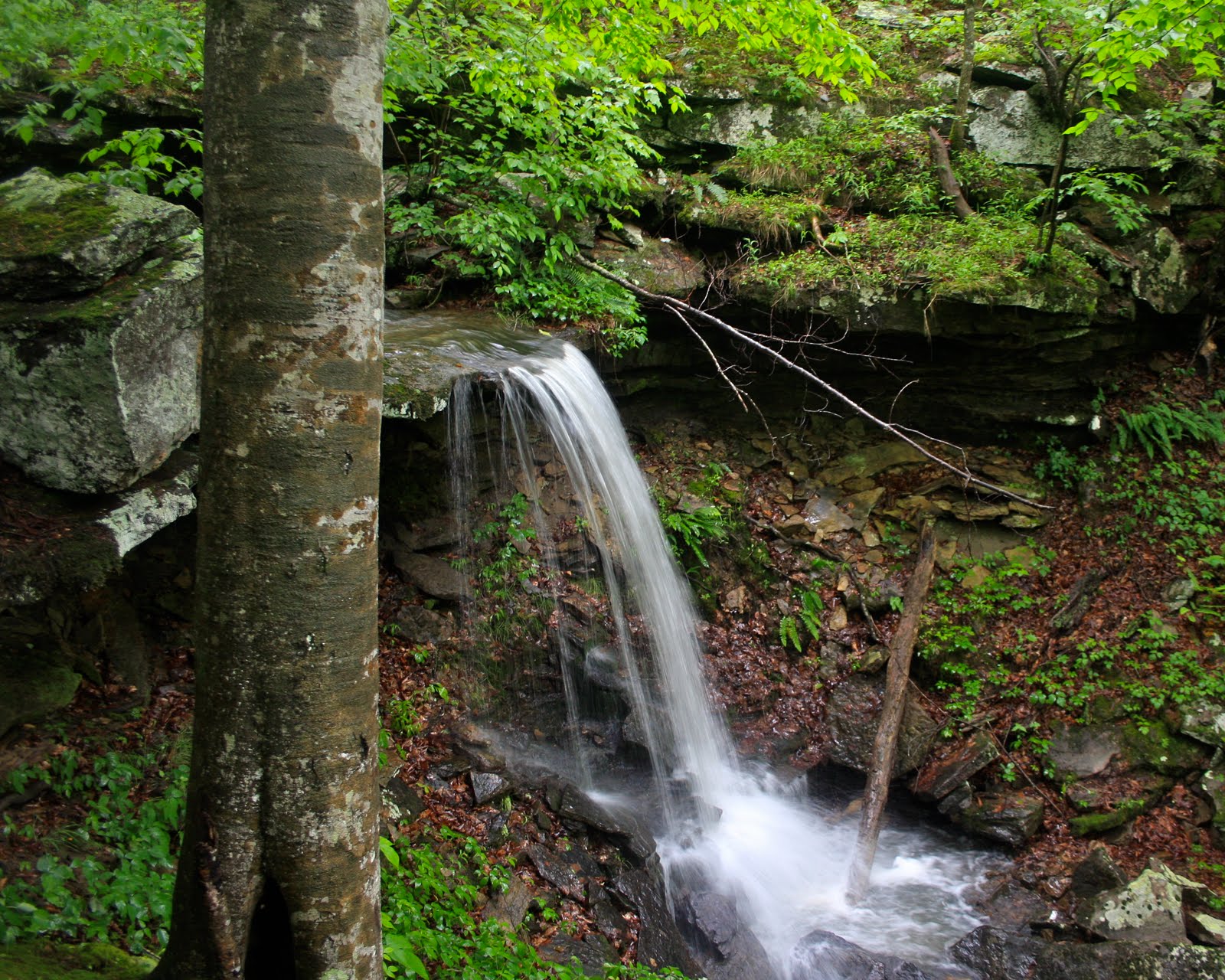 Thresher Family Follies Boxley Valley and Amber Falls