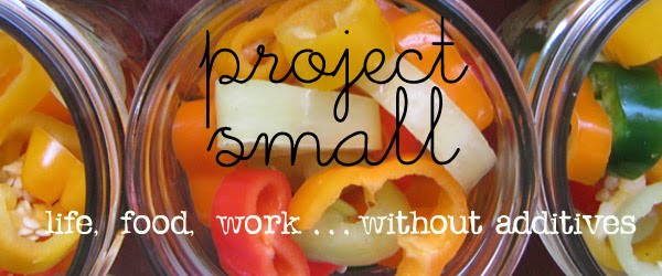 project small
