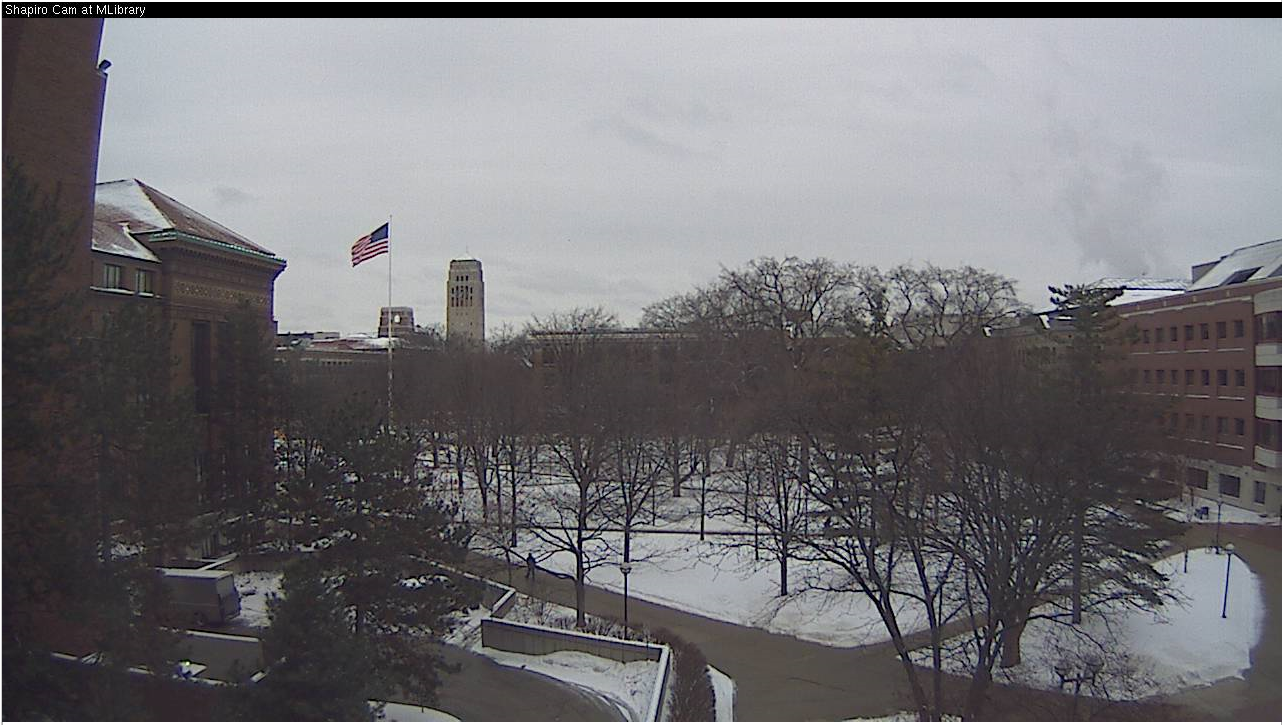 Damn Arbor Is it snowing yet?