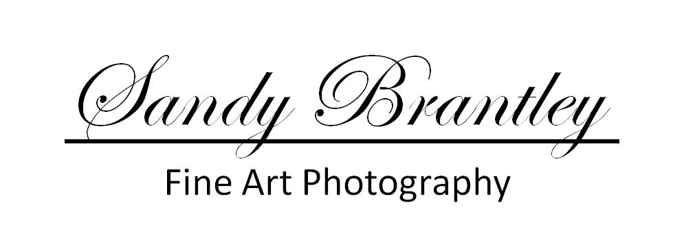 Sandy Brantley Photography