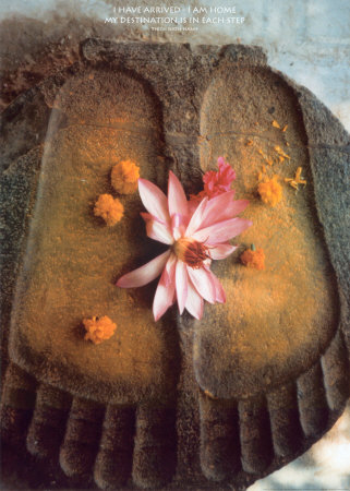 [TIB1005~Thich-Nhat-Hanh-I-Have-Arrived-Posters.jpg]