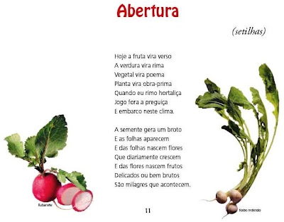 3º Ano: Literatura de Cordel - César Obeid