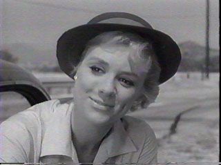 [Inger+Stevens6.jpg]