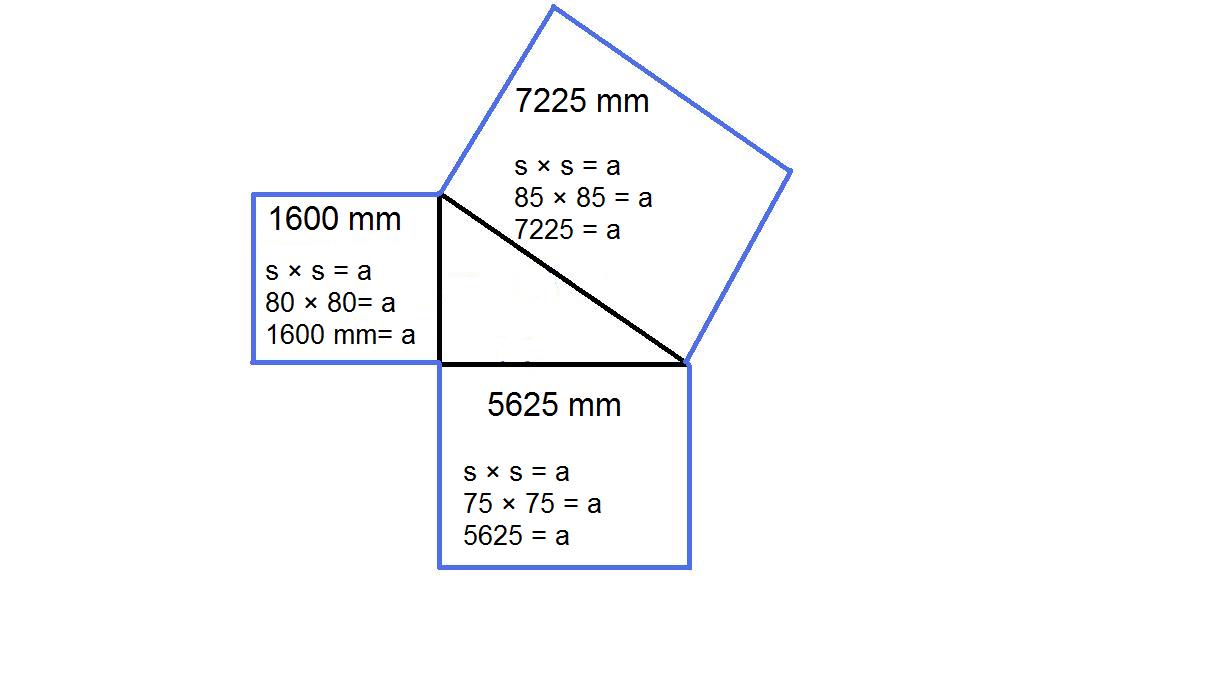 816 Math 2010: November 2010