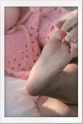 Sweet Little Baby Feet