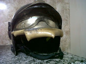 CASCO DE ACAL