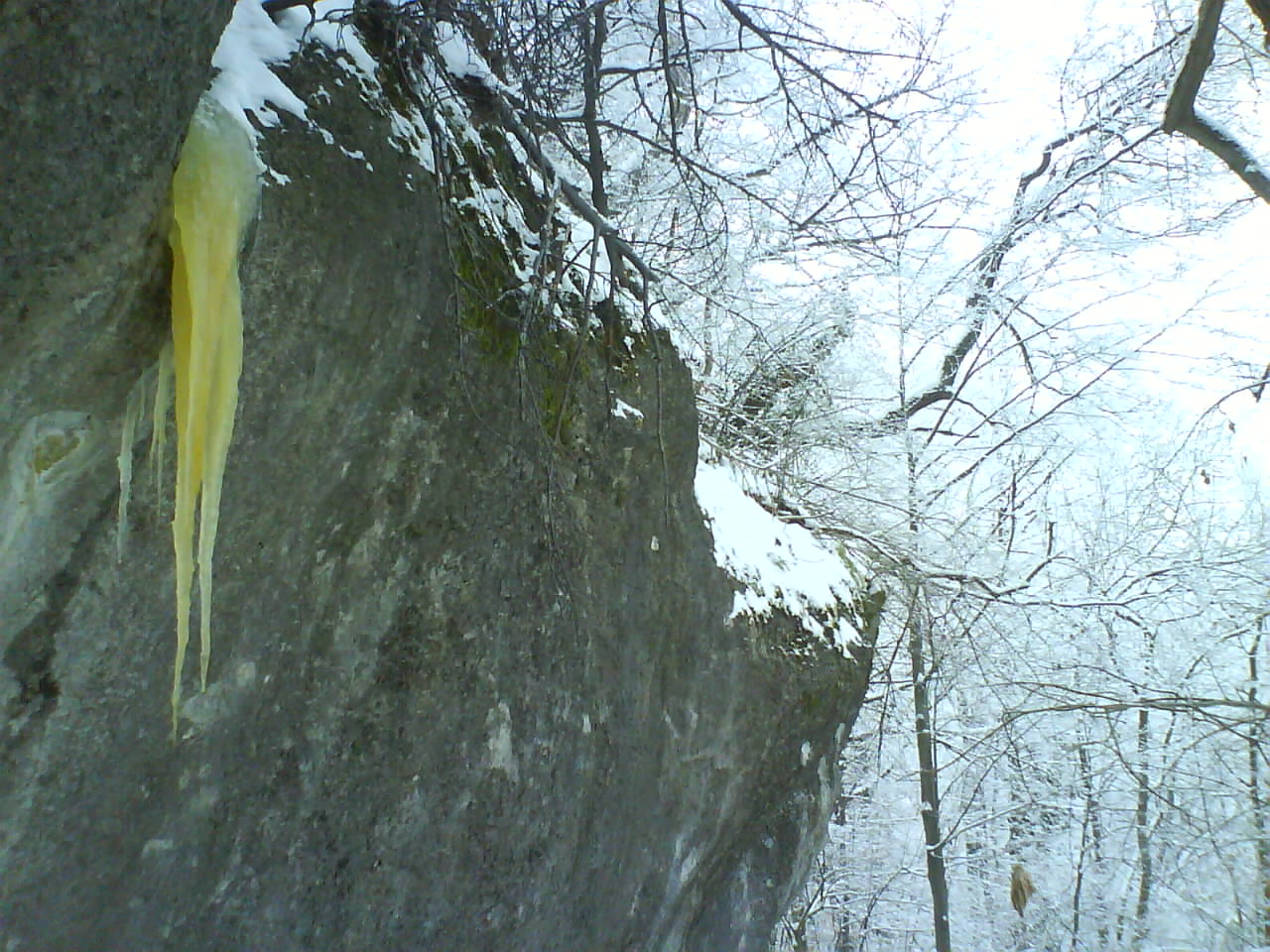 [DSC02274.JPG]
