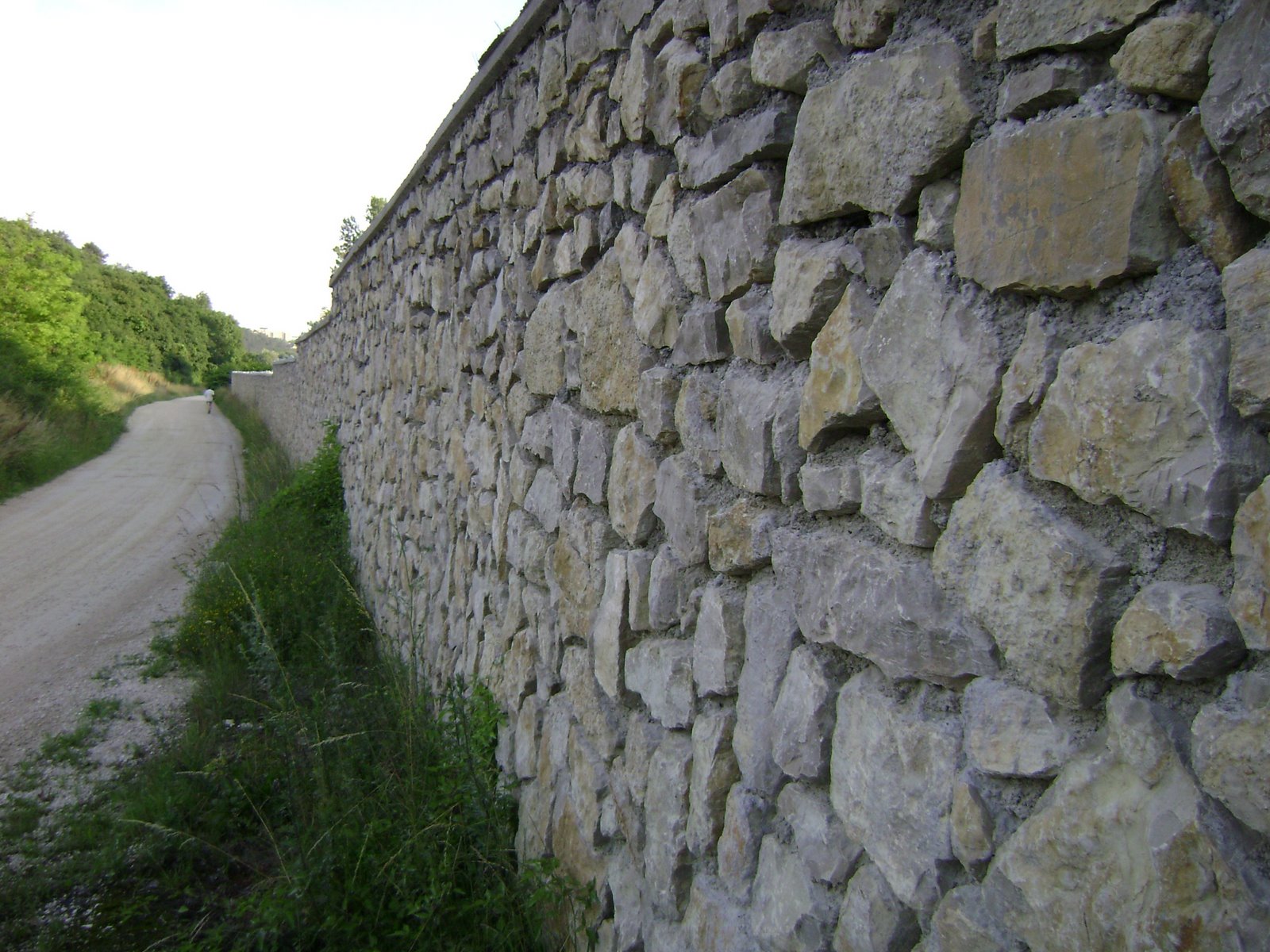 [DSC00562.JPG]